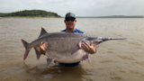 Video: Angler Catches and Releases New World Record Paddlefish