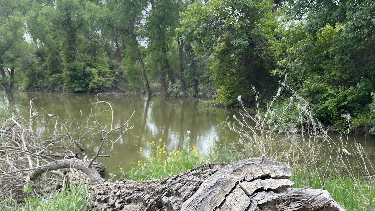 MeatEater Auction House of Oddities is Back to Support a New Access Project