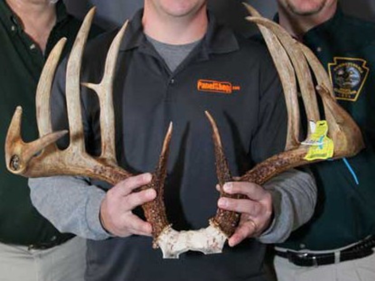 Lost and Found: Should “Deadheads” Put Hunters in the Record Book?