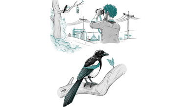 Person with binoculars looking toward a city skyline above a detailed magpie perched on a branch.
