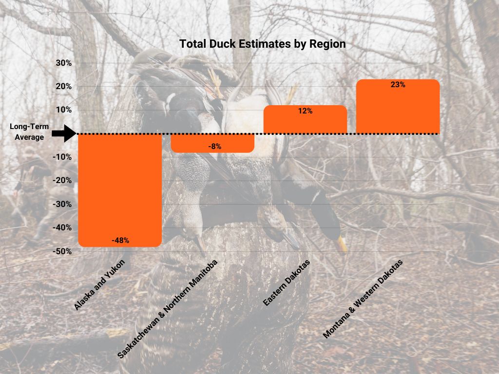 duck population estimates 