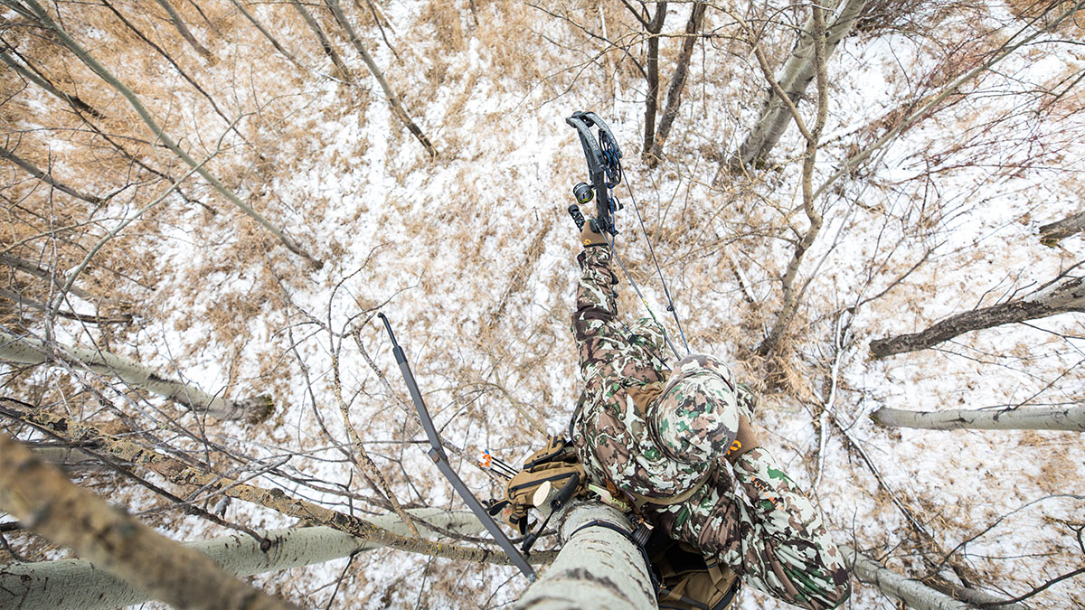 Research Shows Deer Can Duck Nearly Any Arrow