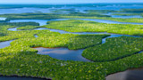 Winding waterways threading through dense green forested islands, aerial view