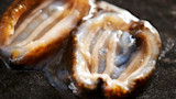Close-up of raw shellfish gills with translucent ridges on a dark surface
