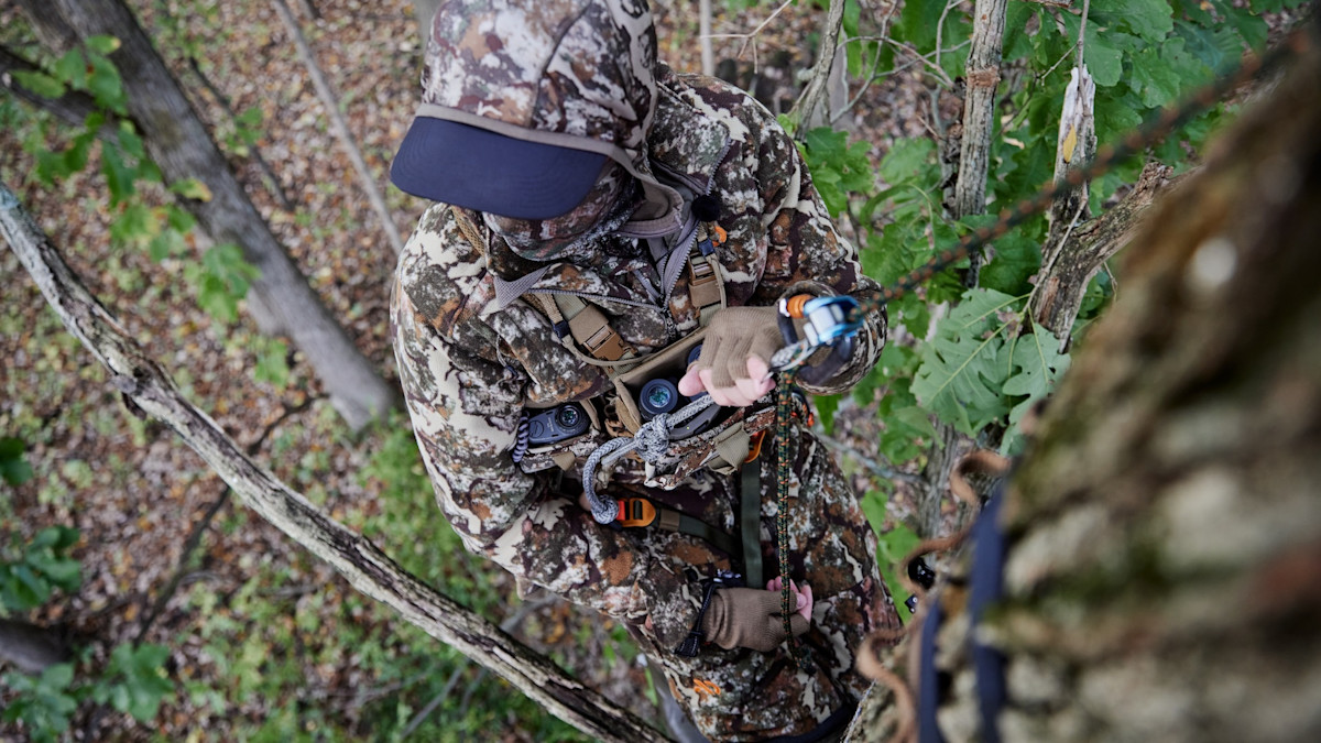 The Best Tree Saddles