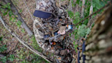 Hunter in camouflage wearing tree saddle adjusting rope and carabiner from treetop