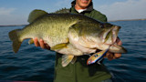 How to Find the Right Depth to Bass Fish