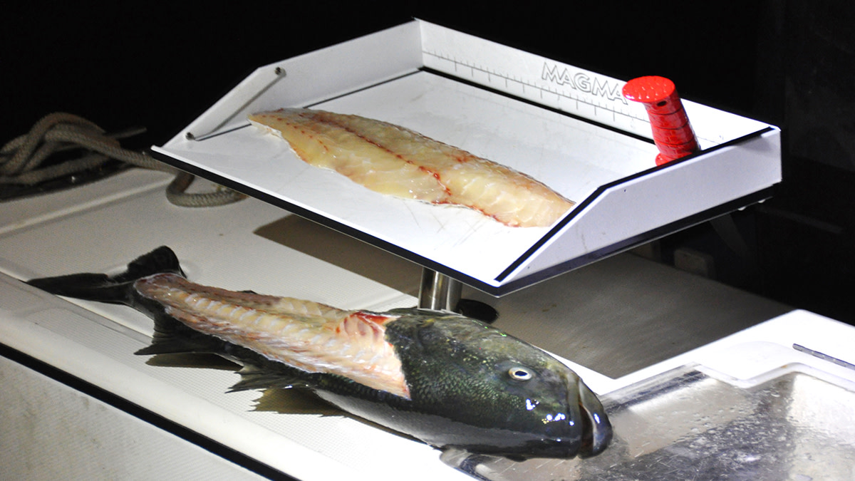 Sushi Over the Gunwale