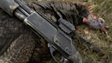 workhorse shotgun-2.jpg