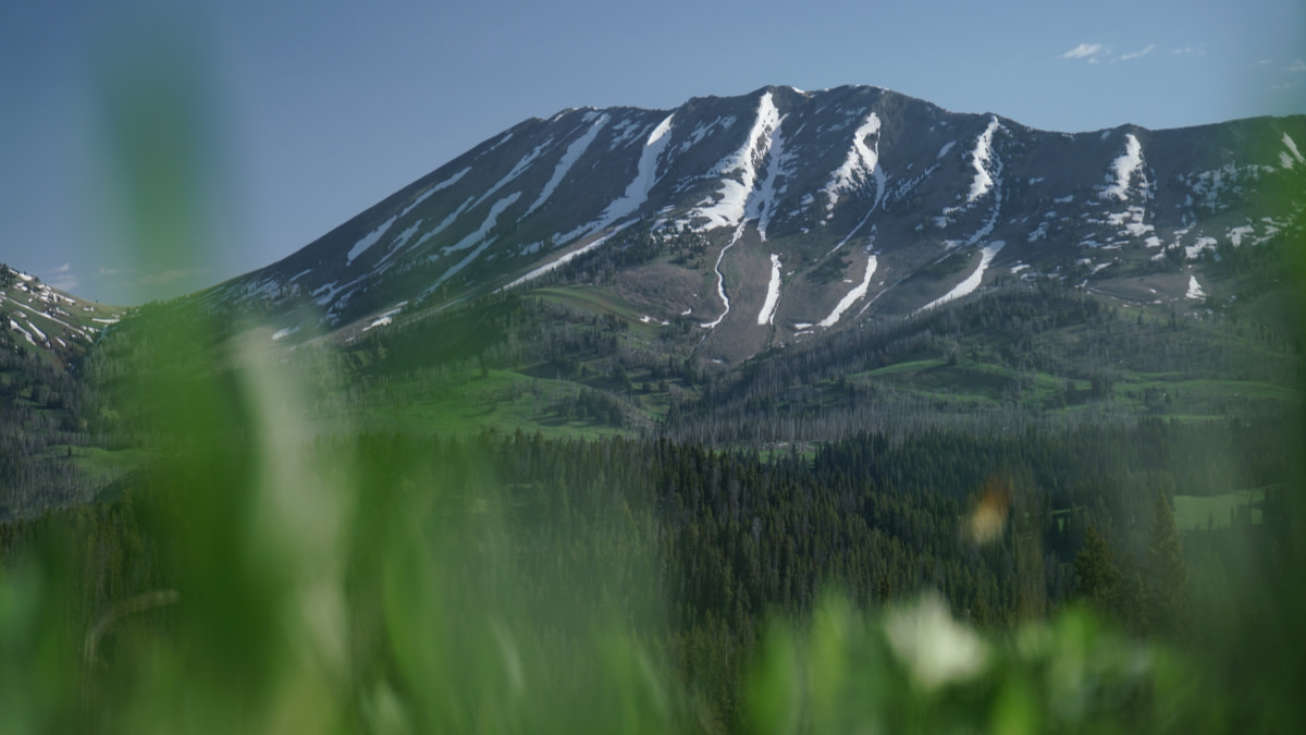 America’s Worst Hunting Laws: Part 2