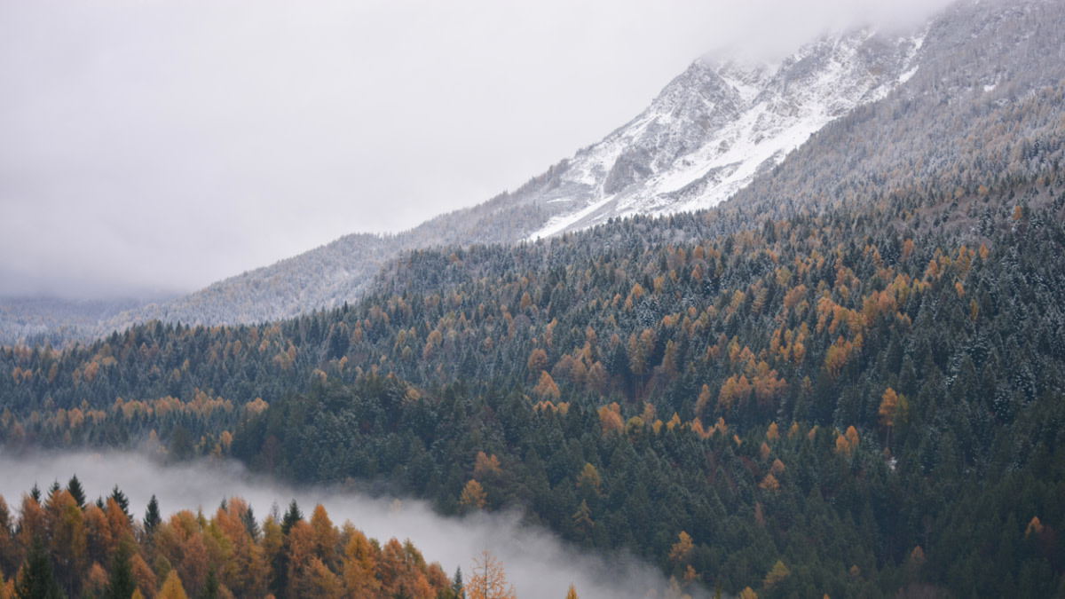 Missing Bowhunter's Remains Found After 53 Years