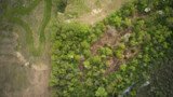 Aerial view of small wooded patch with game trails beside a field with winding tire tracks