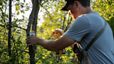 Man adjusting a trail camera while spraying lure on a tree in leafy woods