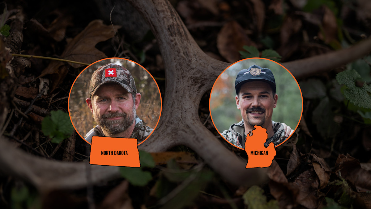 Best Whitetail State: North Dakota vs. Michigan