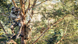 Hunter in full camouflage on a tree-stand platform looking through binoculars; bow and pack hung on tree