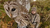 Owl perched on tree trunk with camouflaged hunter standing behind it