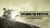 Hunter carrying antlers on hillside; overlay text "SPEARING FOR WHITEFISH" "IN CENTRAL ALASKA"