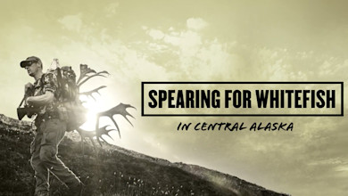 Hunter carrying antlers on hillside; overlay text "SPEARING FOR WHITEFISH" "IN CENTRAL ALASKA"