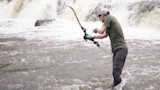 How to Get Started Bowfishing