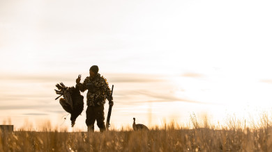 How to Turkey Hunt Open-Country