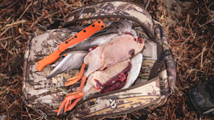 Field-dressed ducks and orange-handled knife on First Lite camo backpack