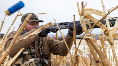 Hunter aiming shotgun through dried corn stalks; blue shell ejecting midair