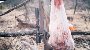 Rifle with scope leaning on log beside blood-stained game bag hanging from branch