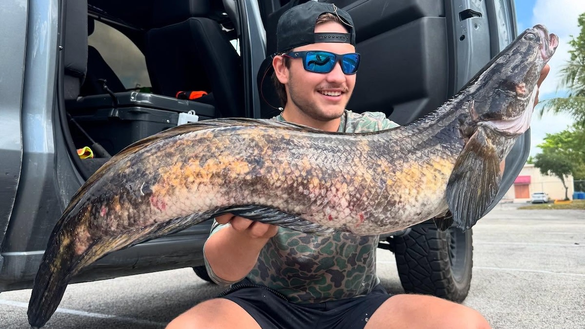 Florida Angler Catches Massive World Record Snakehead