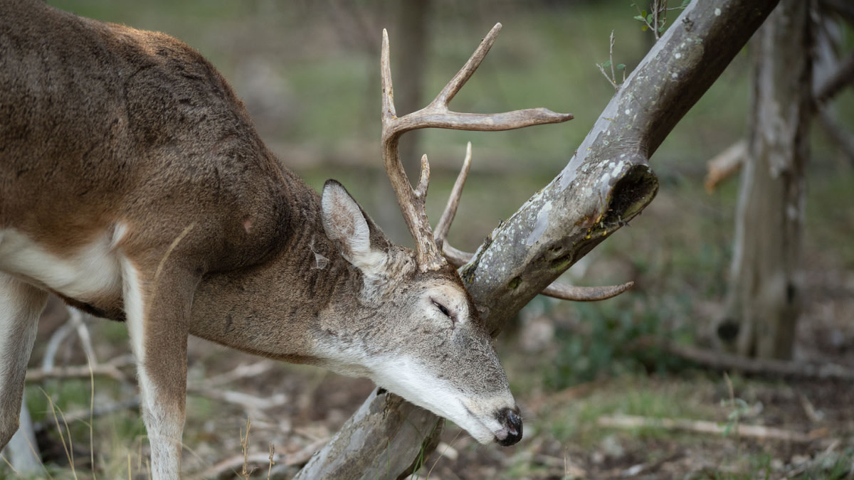 How to Make a Horizontal Rub