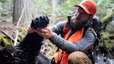 Man in orange MeatEater cap and safety vest kneeling in woods holding a black bear's paw