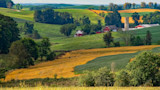 Rolling patchwork of green and gold fields with red barn, white farmhouse, and silo