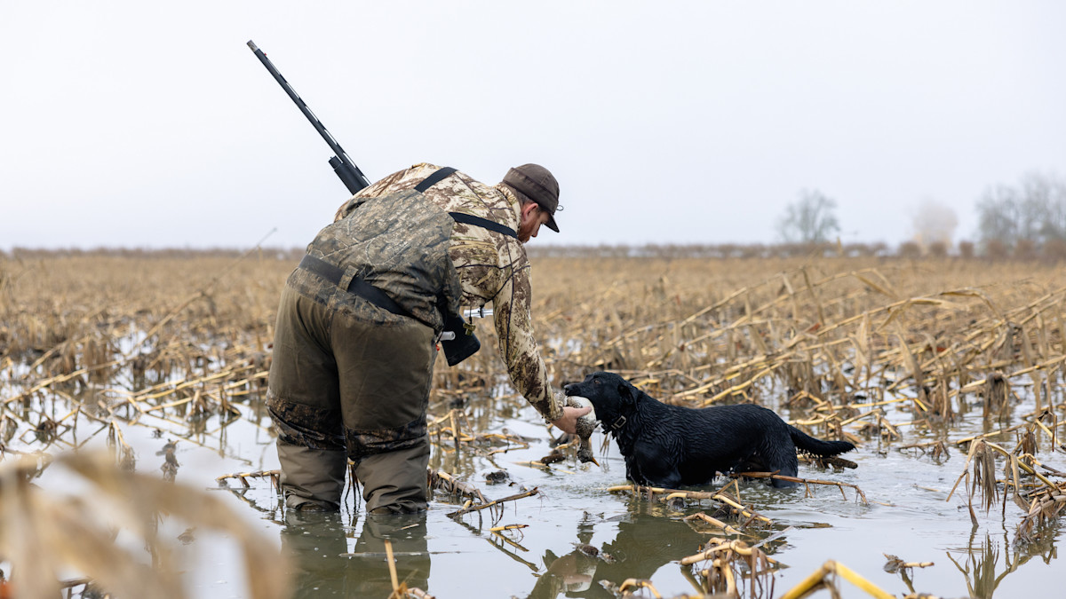 4 Proven Late-Season Duck Hunting Tactics