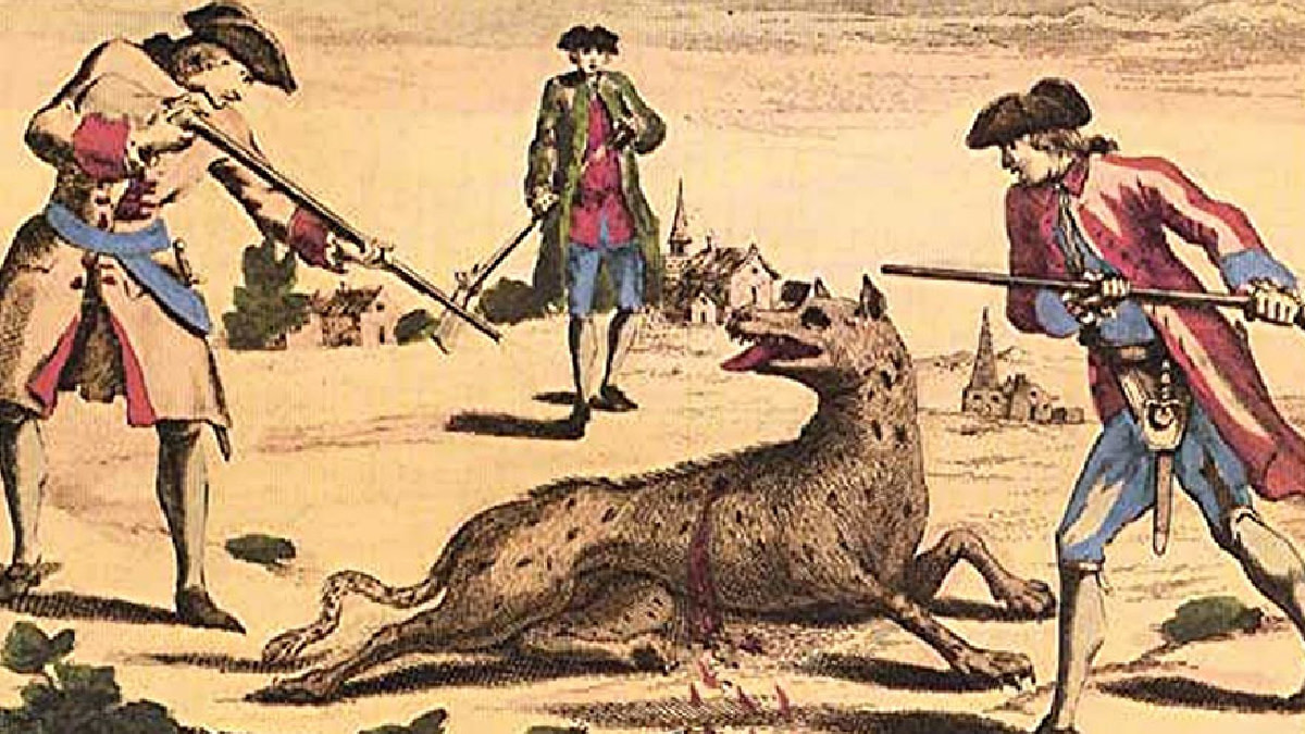 Three 18th-century hunters with muskets surround a wounded wolf in village clearing