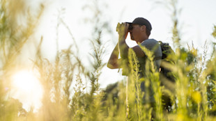 Hunter with binoculars and backpack stands in tall grass at sunset