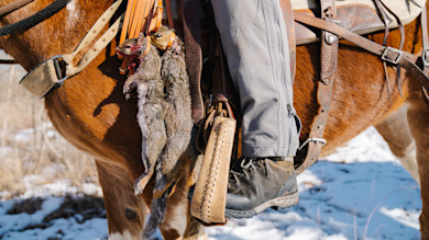 Two harvested squirrels hanging from a horse saddle beside a rider's boot in a snowy field
