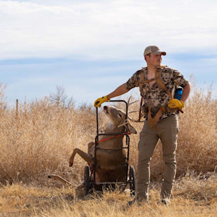 Hunter standing in dry grass beside a two-wheeled cart carrying a mule deer