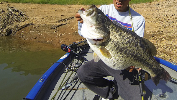 Bass-ic Instinct: Are You Really Ready to Dance with a Double-Digit Fish?
