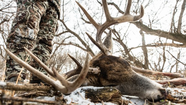 You Don’t Have to Be a “Die-Hard” to Enjoy Deer Hunting