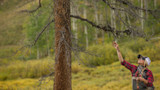 Woman reaching up with fishing rod toward a tree branch in a meadow