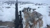 Rifle propped in snow beside three snow-covered rabbits on a log in a snowy field