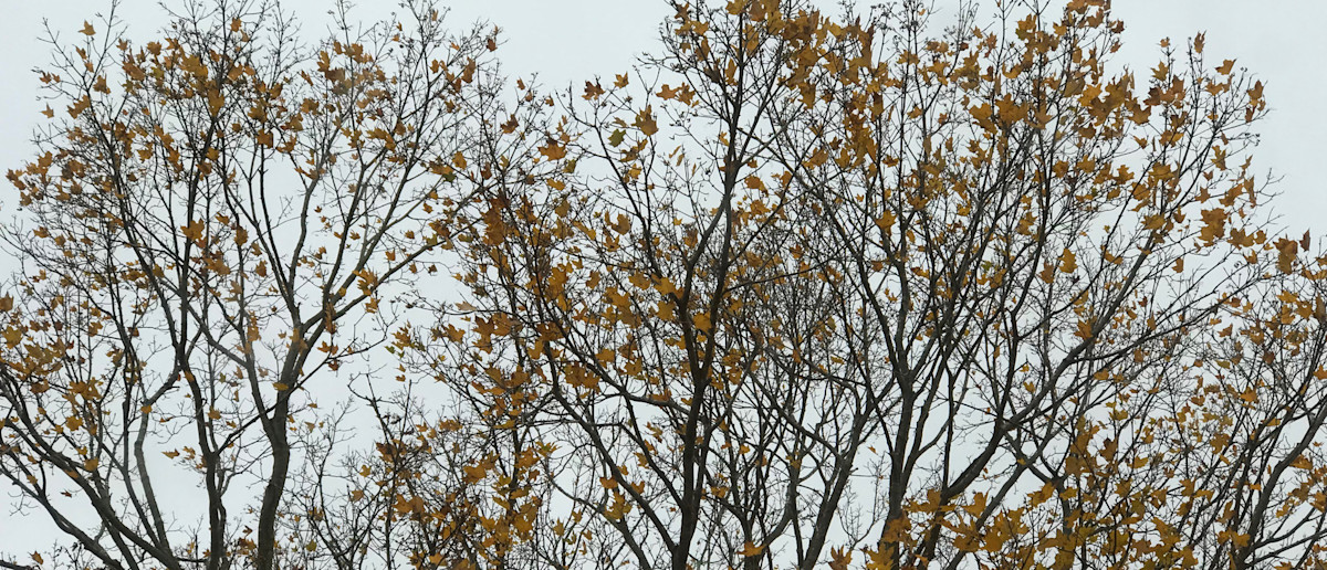 2017 Journal #4: It Begins Today (Maybe?)