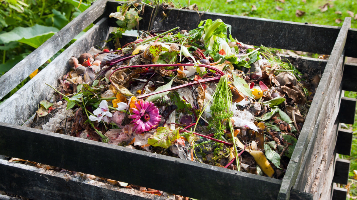 How to Compost at Home