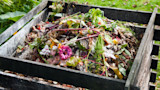 Compost bin filled with kitchen scraps, banana peel, flowers, and leaves