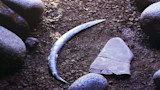 Ancient Hunting Boomerang is Twice as Old as Archaeologists Originally Estimated