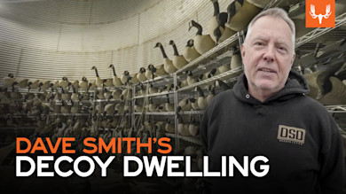 DAVE SMITH'S DECOY DWELLING — man in hoodie standing before shelves of goose decoys