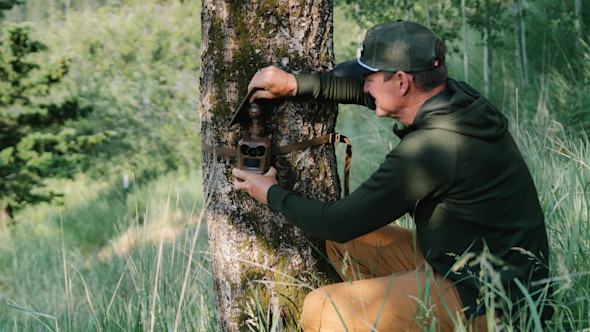 Man attaching a trail camera to a tree in a grassy forest