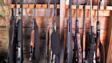 Row of hunting rifles and shotguns with slings against a wooden wall