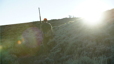 Hunter walking away through sagebrush on backlit hillside, carrying a long gun over his shoulder