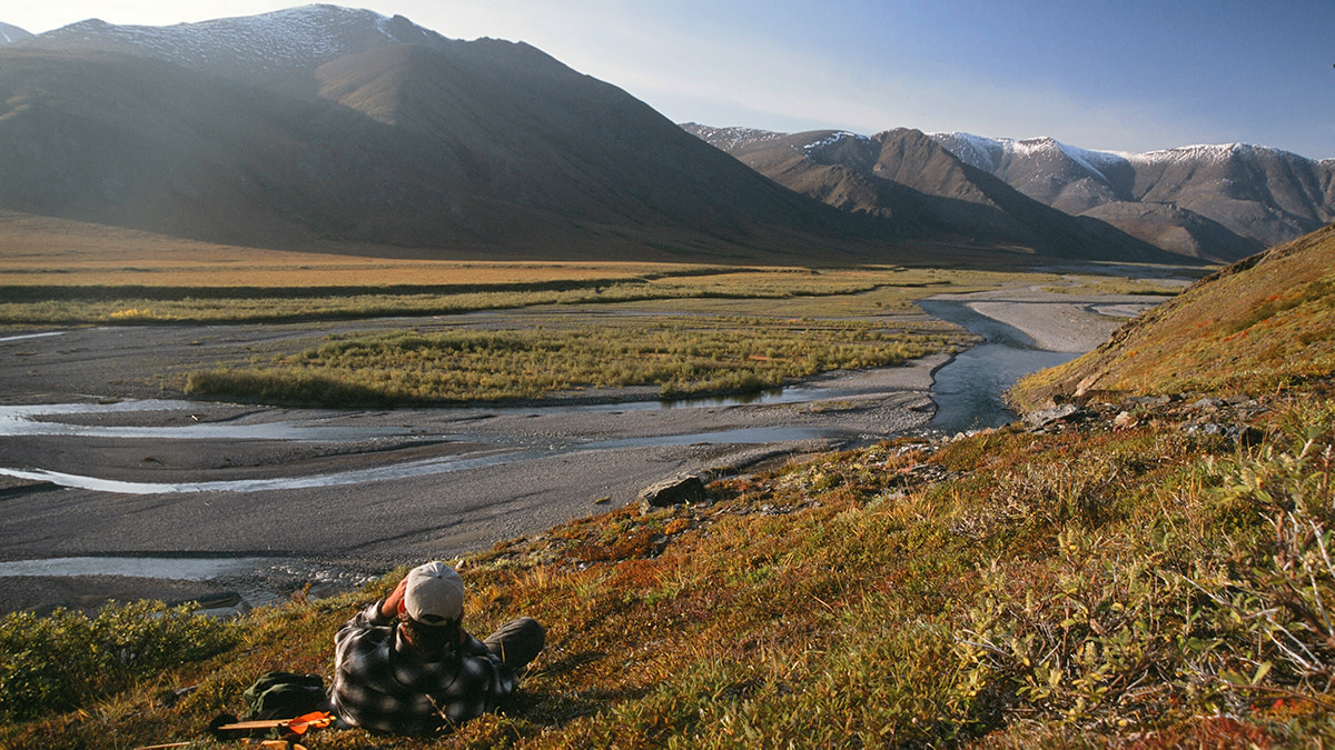 Opinion: Alaska’s Ugly Wildlife Politics