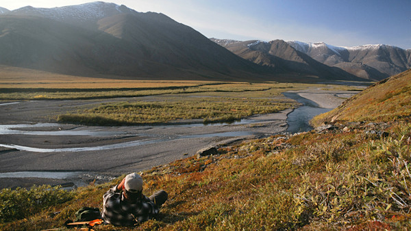 Opinion: Alaska’s Ugly Wildlife Politics